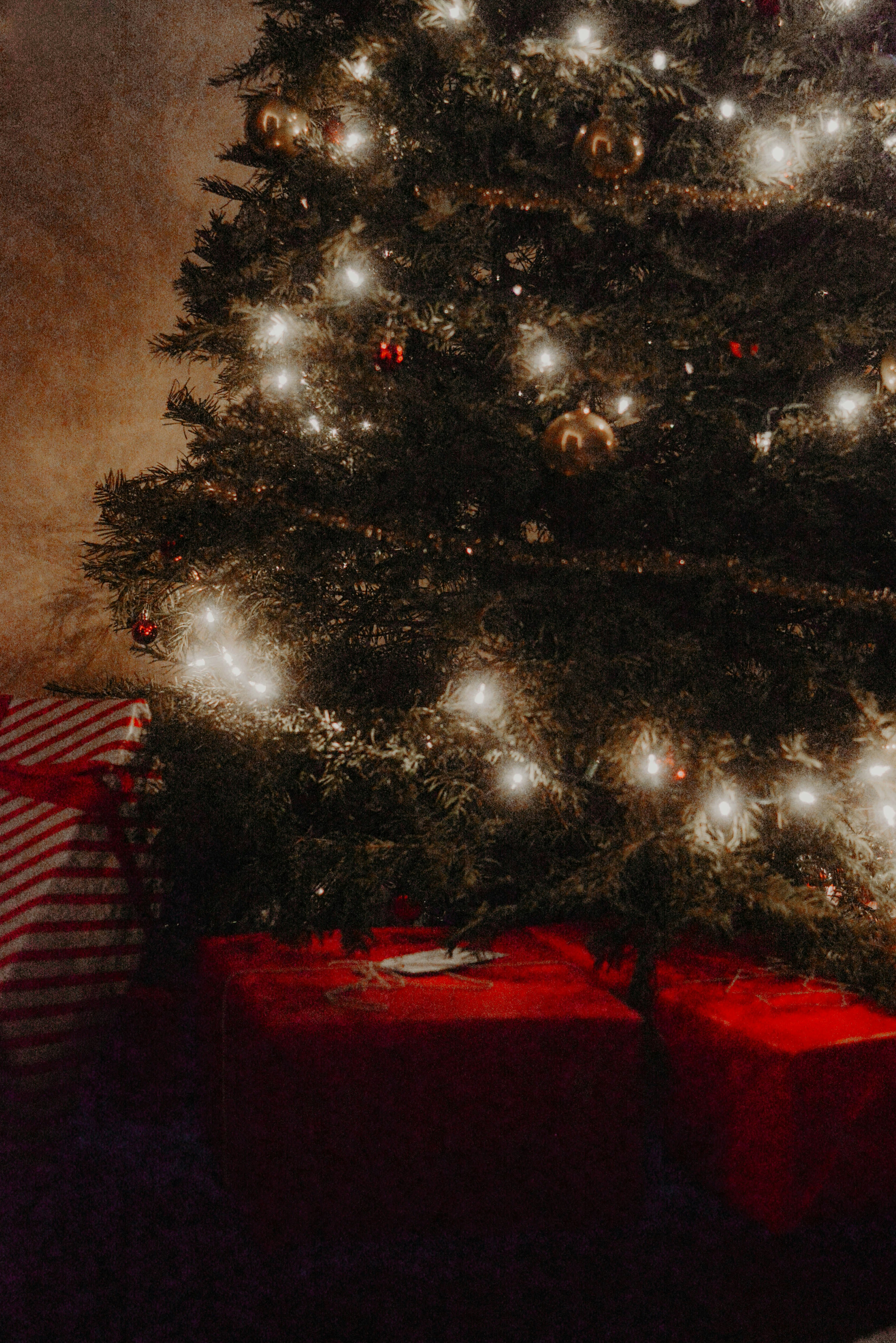 Photo by lorencutler