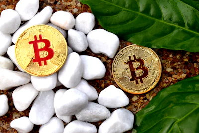 Cartel Kingpin's Death Unleashes Chaos: Crypto's Shadowy Role in Drug Trafficking