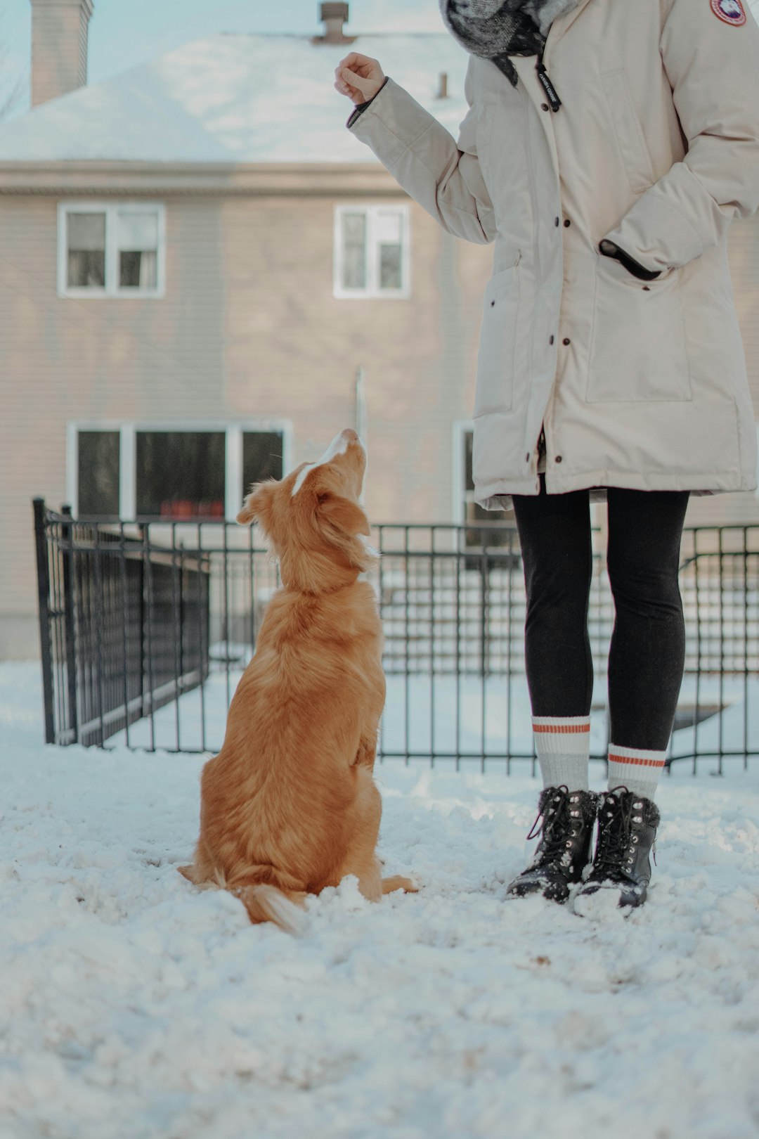 person in gray coat and black pants standing on snow covered ground beside brown dog during