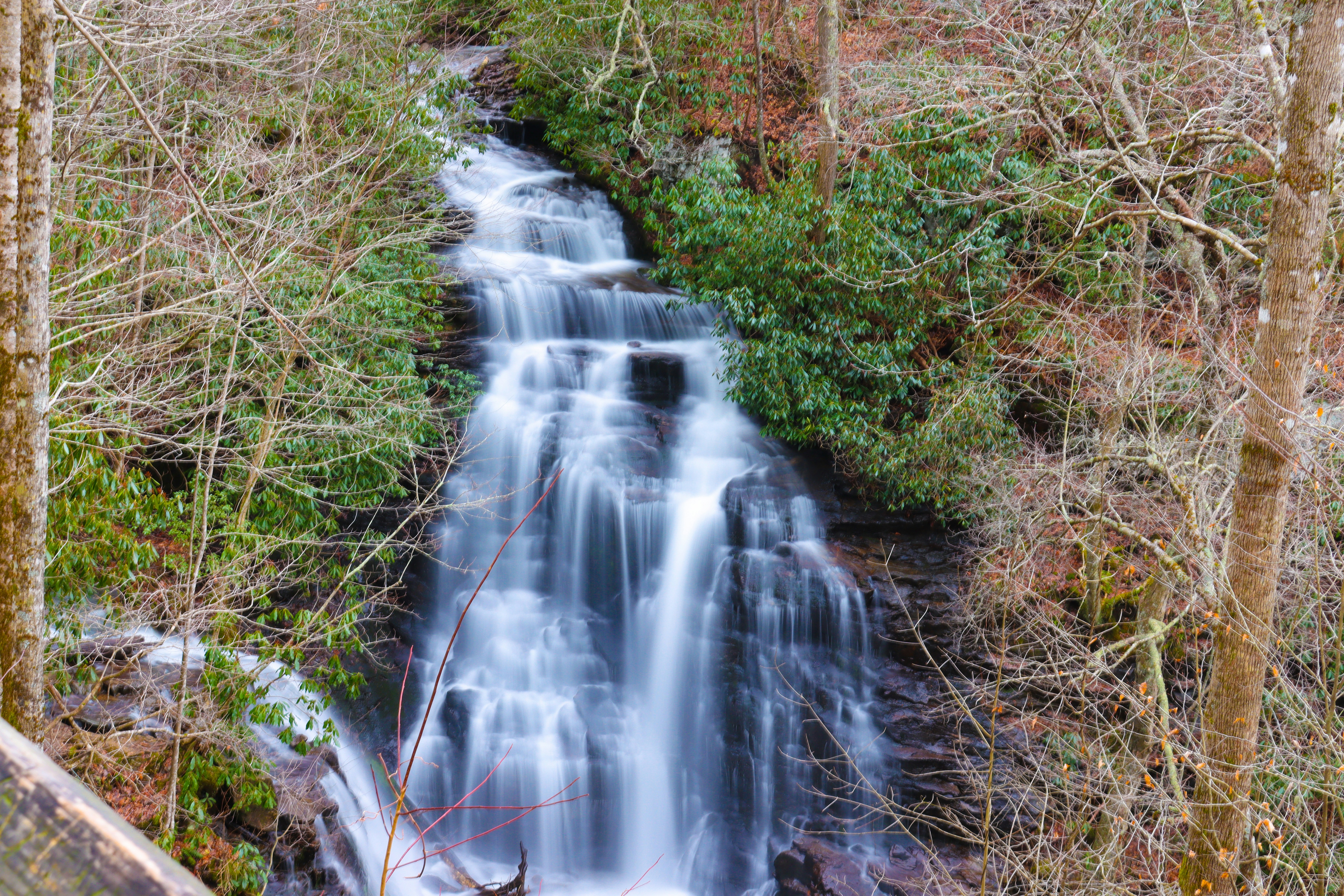 water falls in the forest