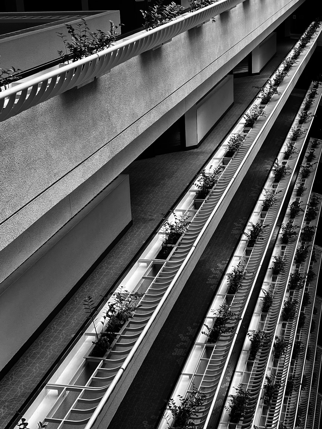 grayscale photo of a staircase