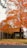A residential house partially obscured by a large tree with vibrant orange autumn leaves. The tree's branches extend widely, with fallen leaves scattered across the lawn. An American flag hangs next to the house's entrance, and a wooden fence runs alongside the property.