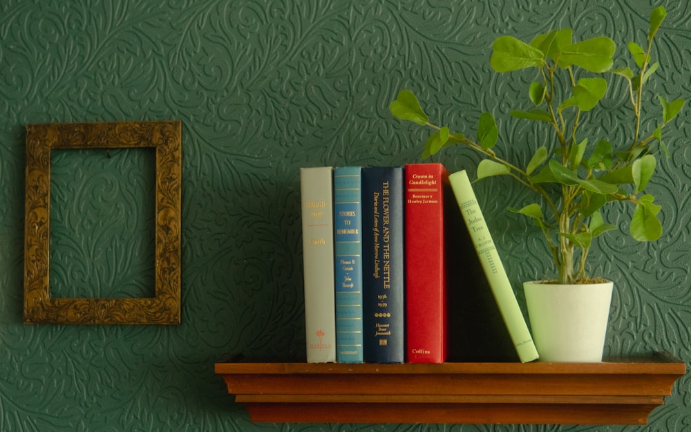 books on brown wooden shelf