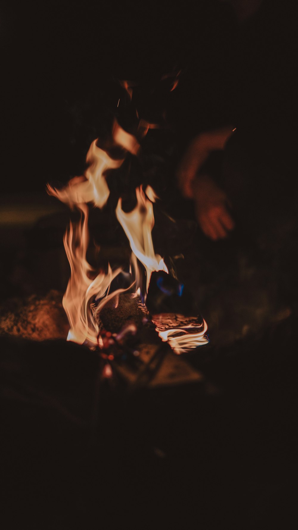 close up photo of burning wood