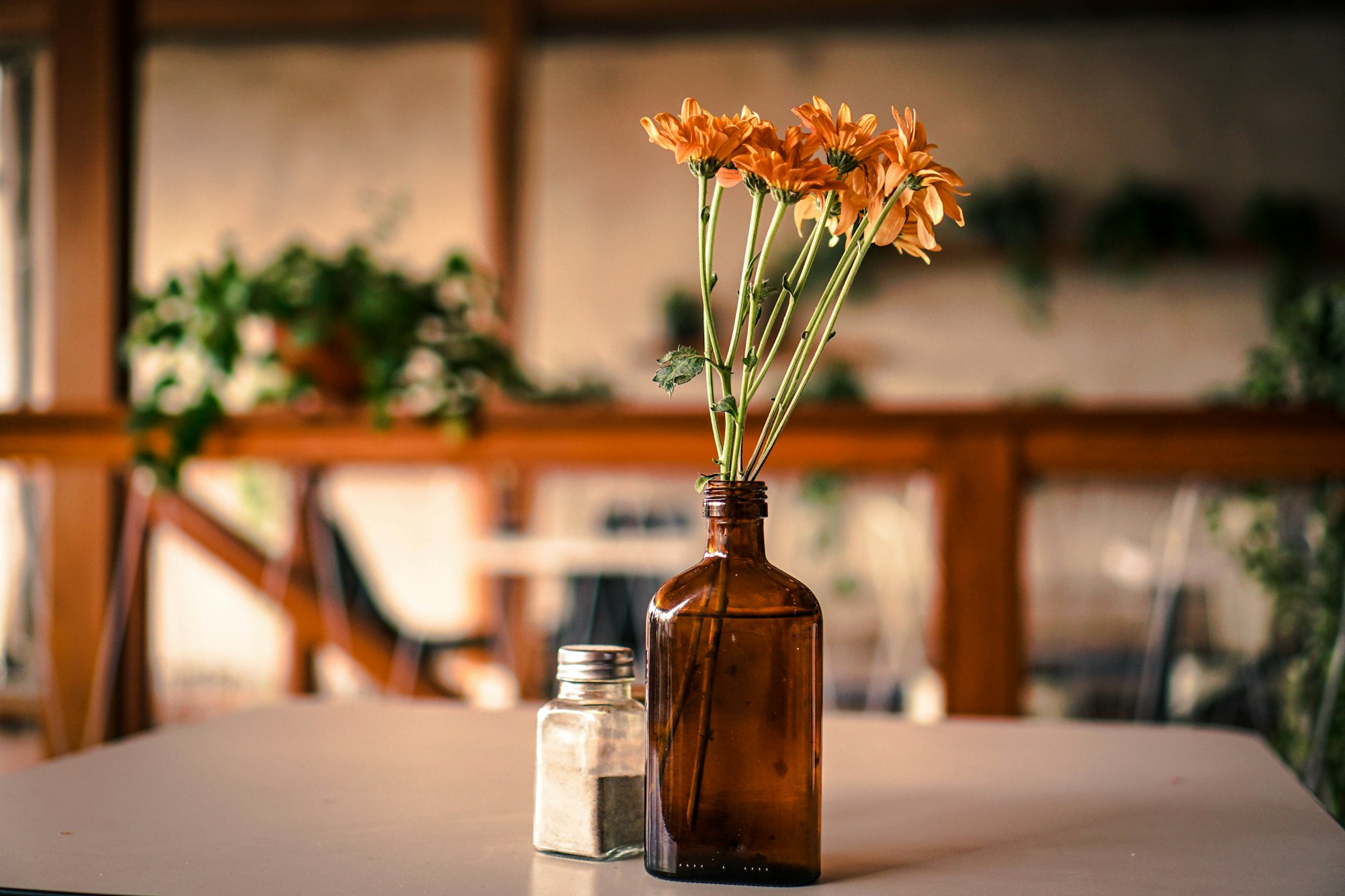A simple shot of flowers in a glass bottle. 