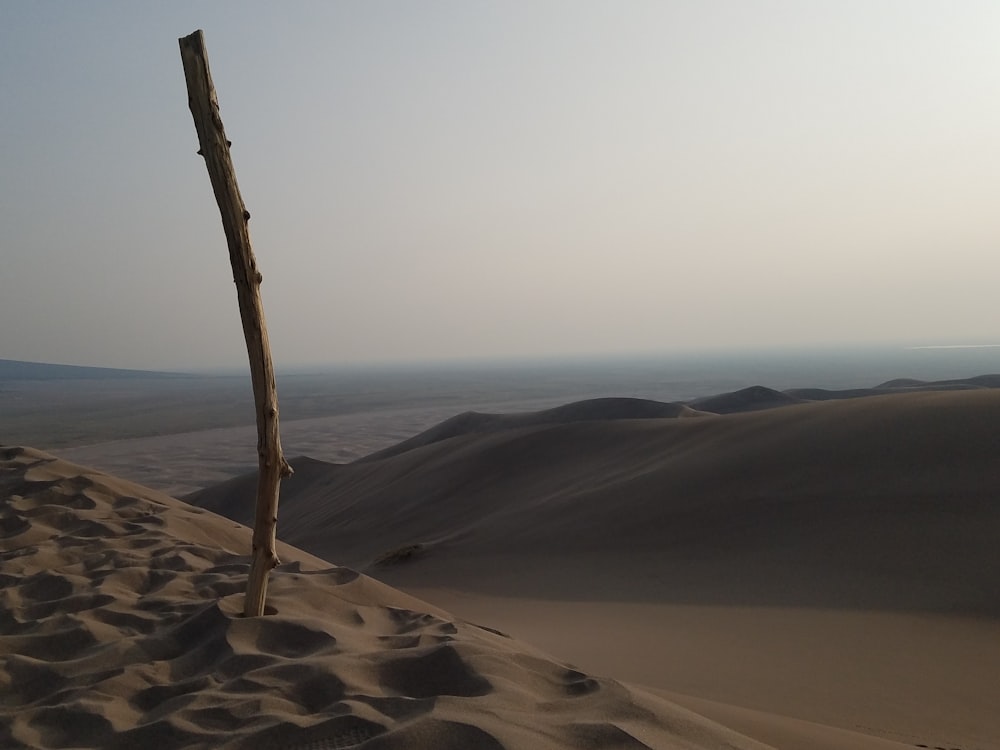 poste de madeira marrom na areia marrom