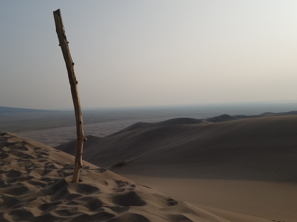 brown wooden post on brown sand