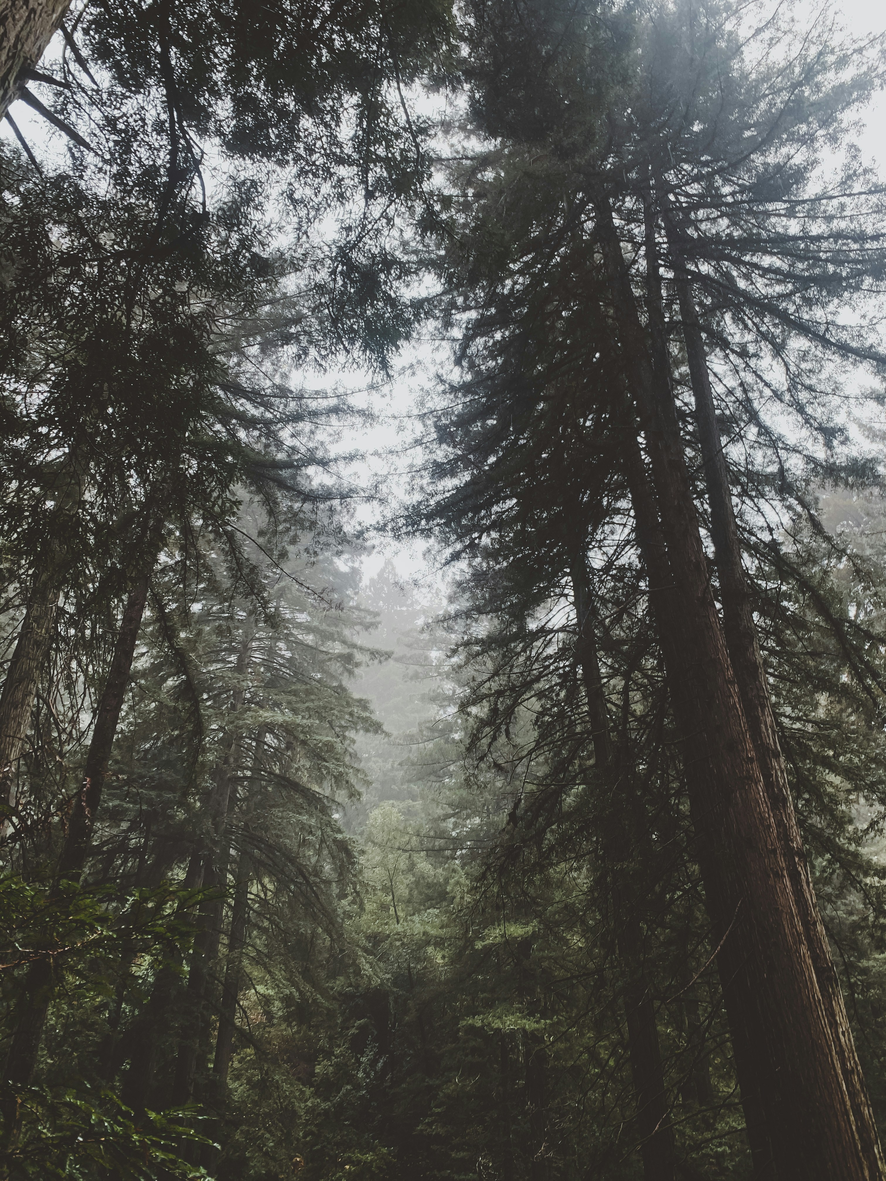 Photo by alyonaegorov