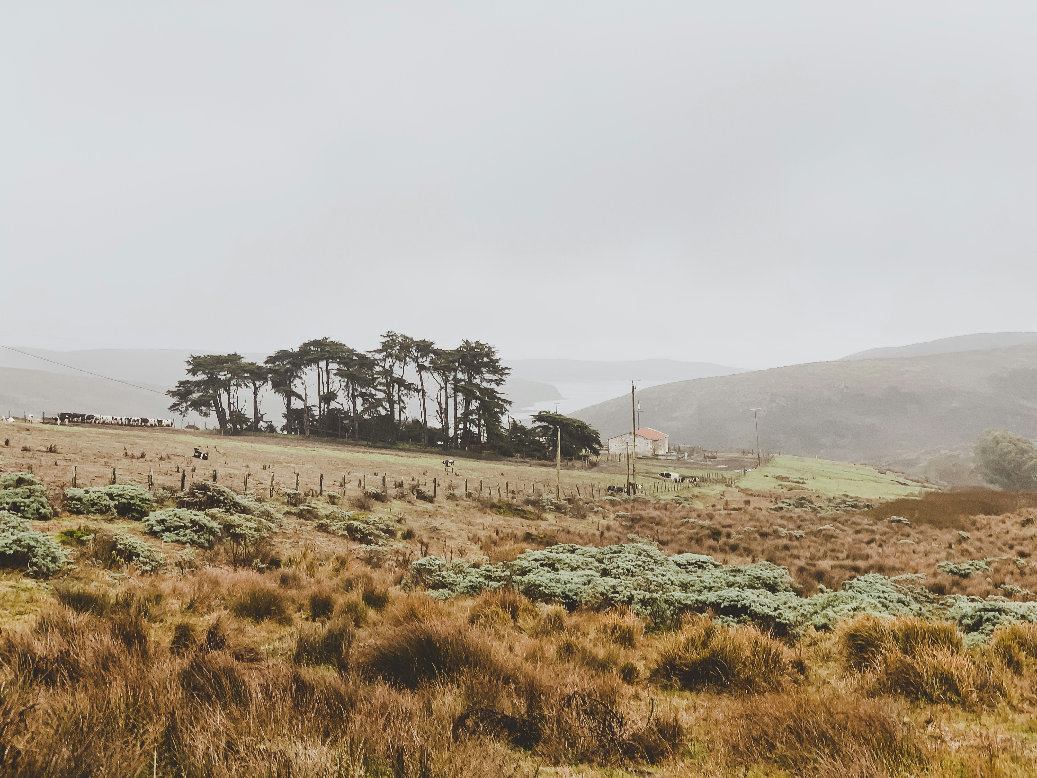 Photo by alyonaegorov