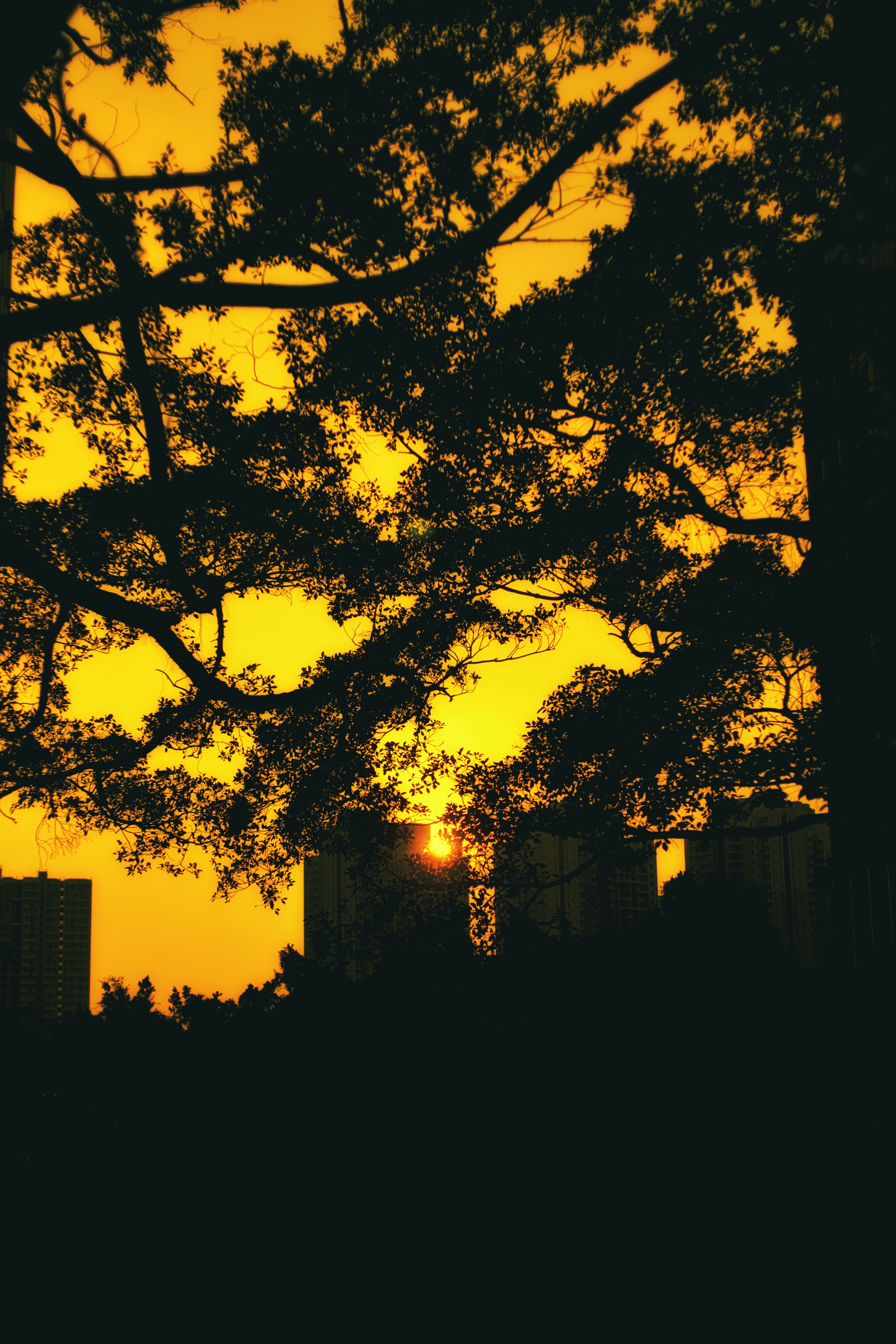 Photo by thomaskinto