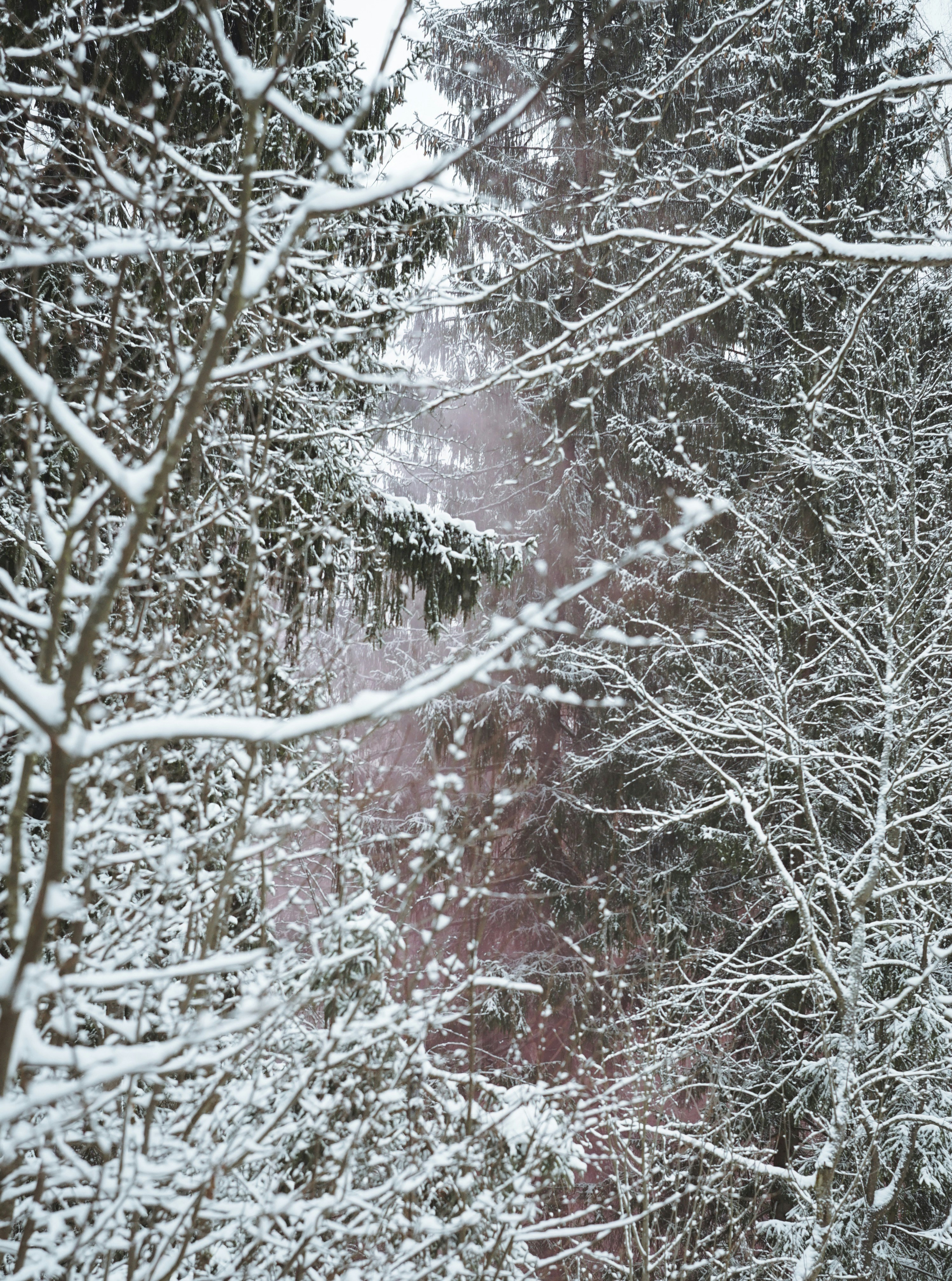 Photo by veragorbunova