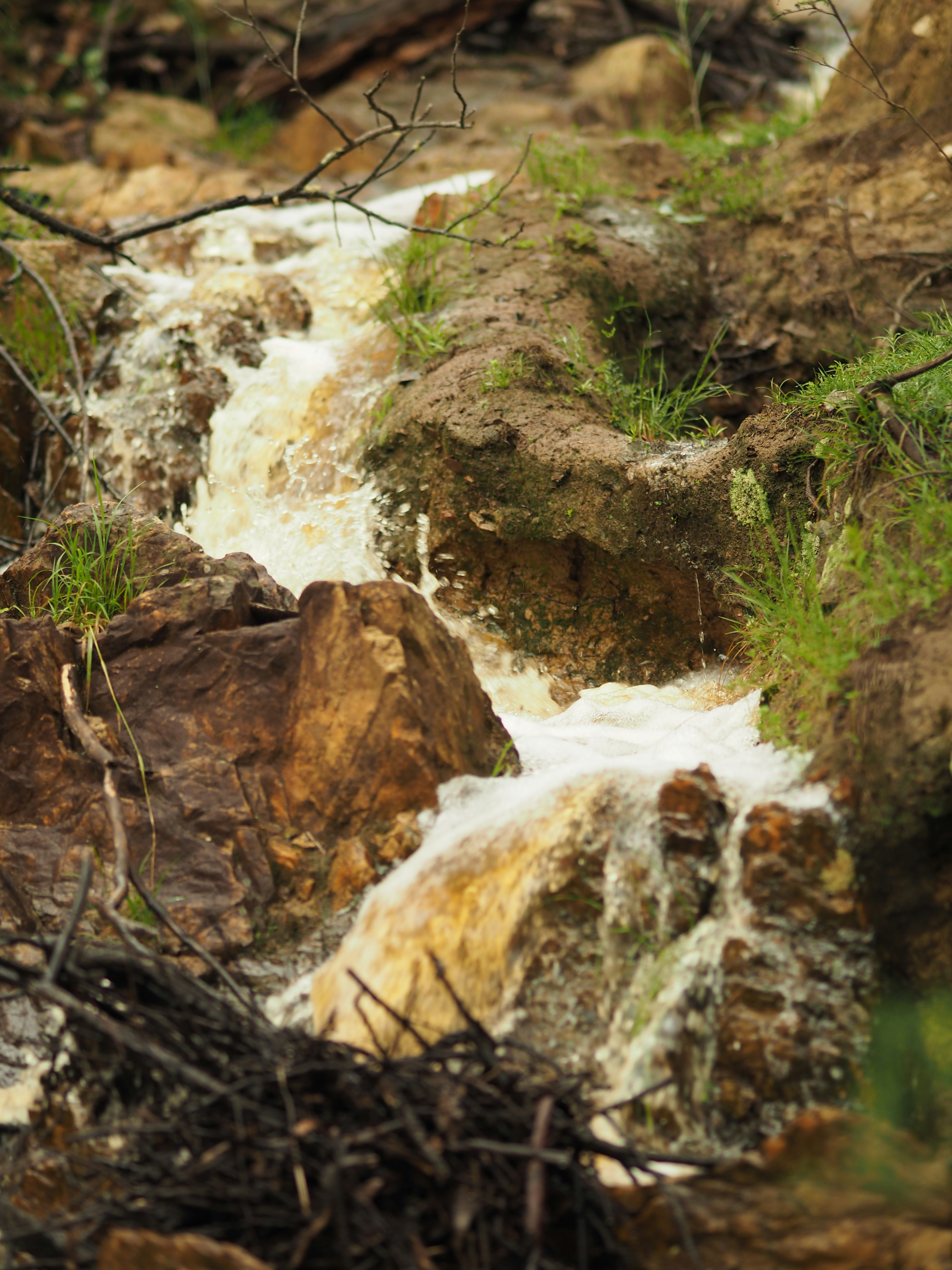 Photo by wricks_pics