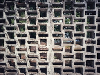 A wall made of rectangular concrete blocks with square openings arranged in a grid pattern. The view through the openings reveals some greenery, possibly trees and bushes, suggesting an outdoor environment.