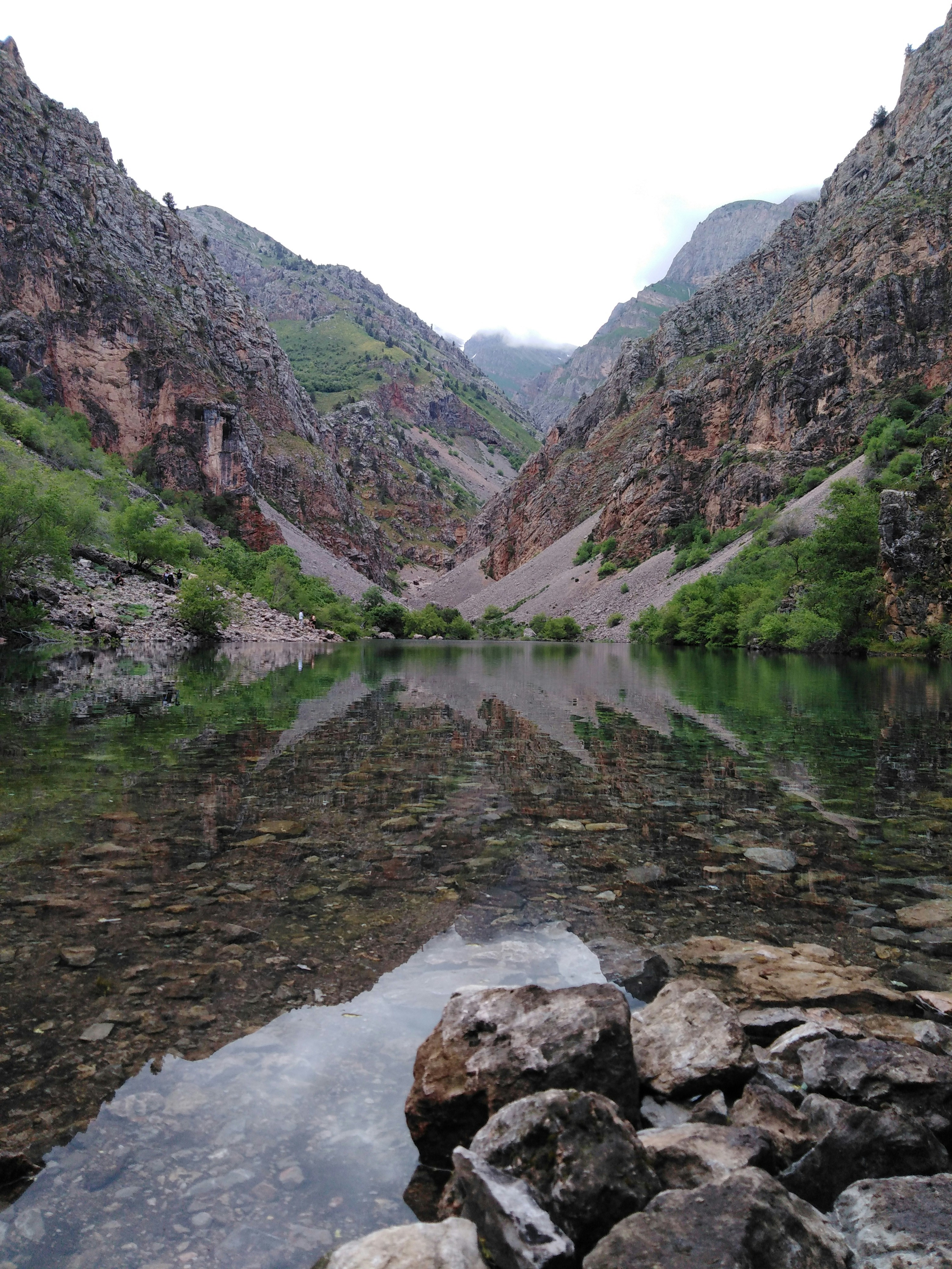 green and brown mountains beside river during daytime