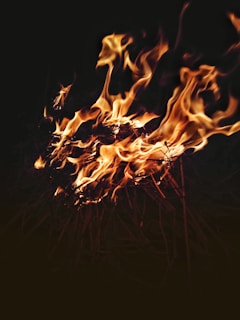 fire in the dark during night time