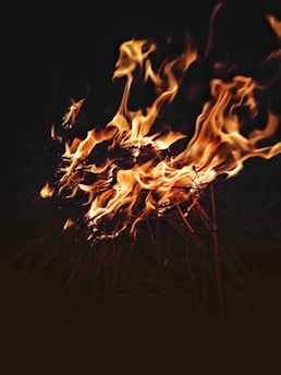 fire in the dark during night time