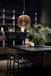 green plant on brown wooden table