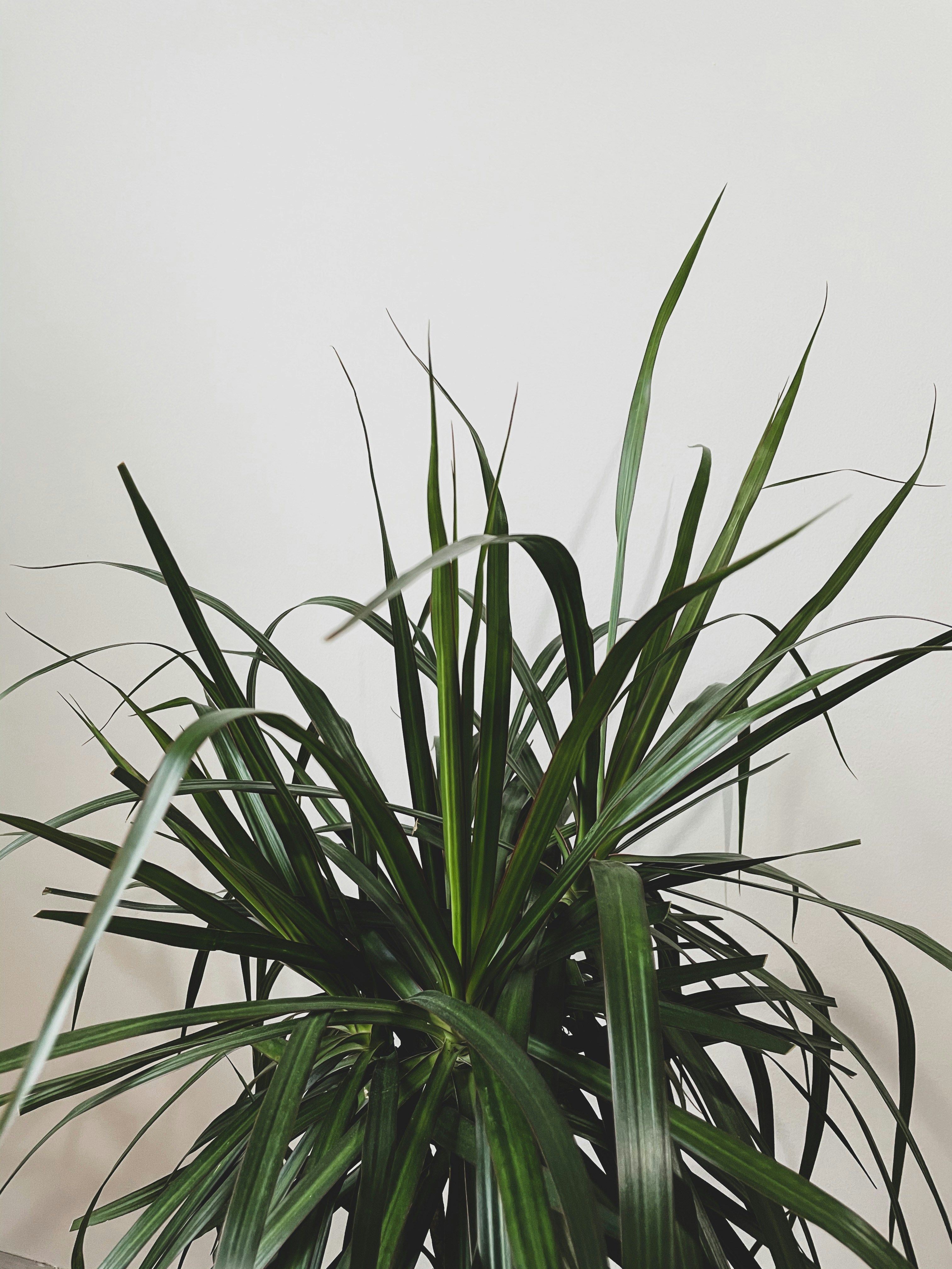 Photo by metehankaya