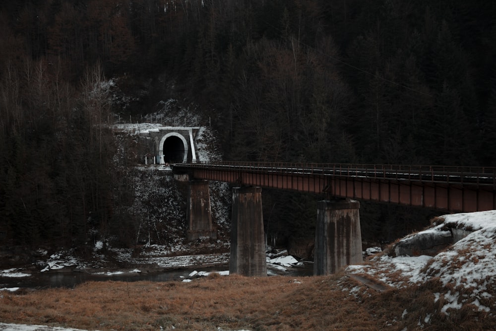 ponte di legno marrone sul fiume