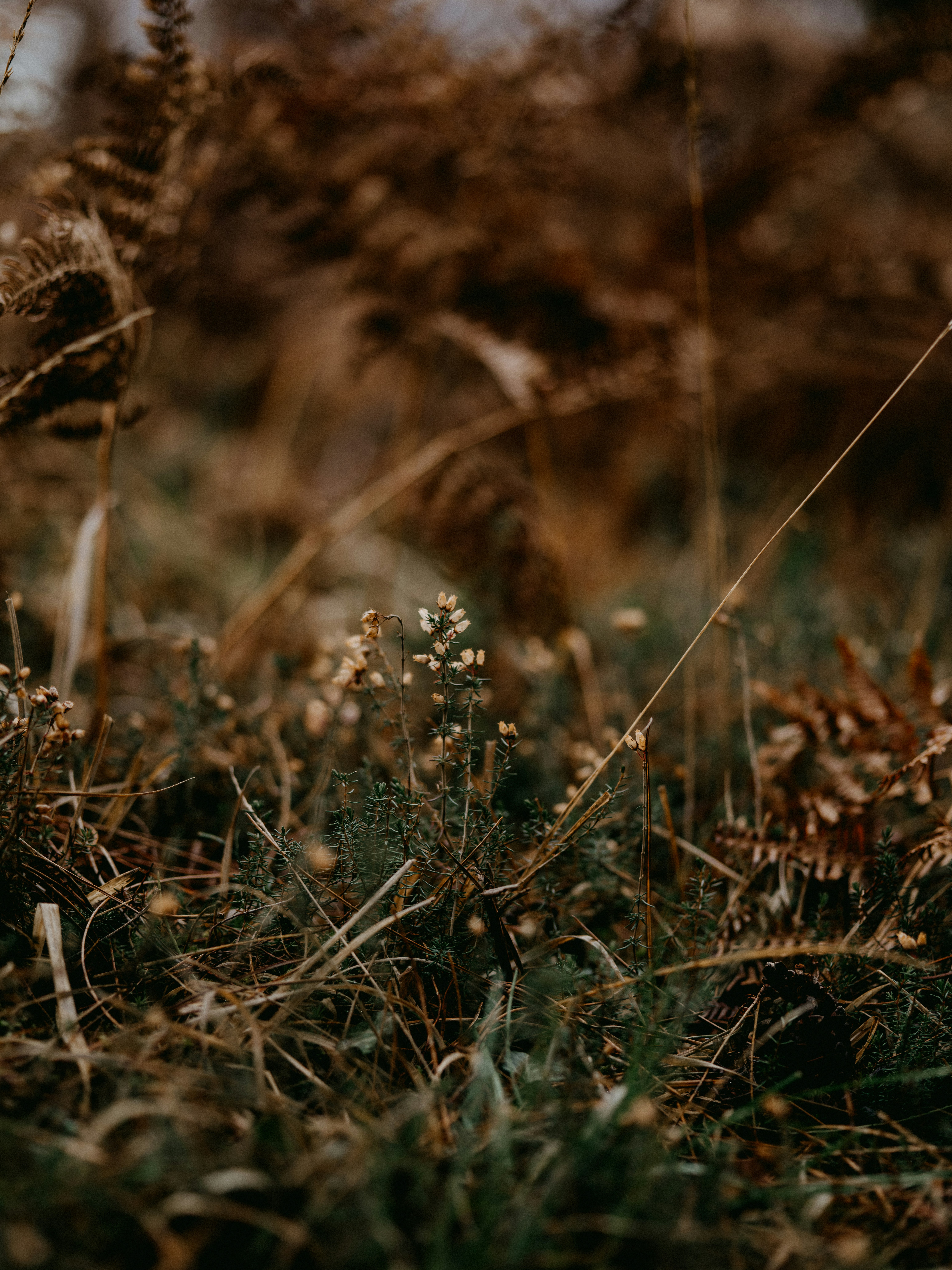 Photo by anniespratt