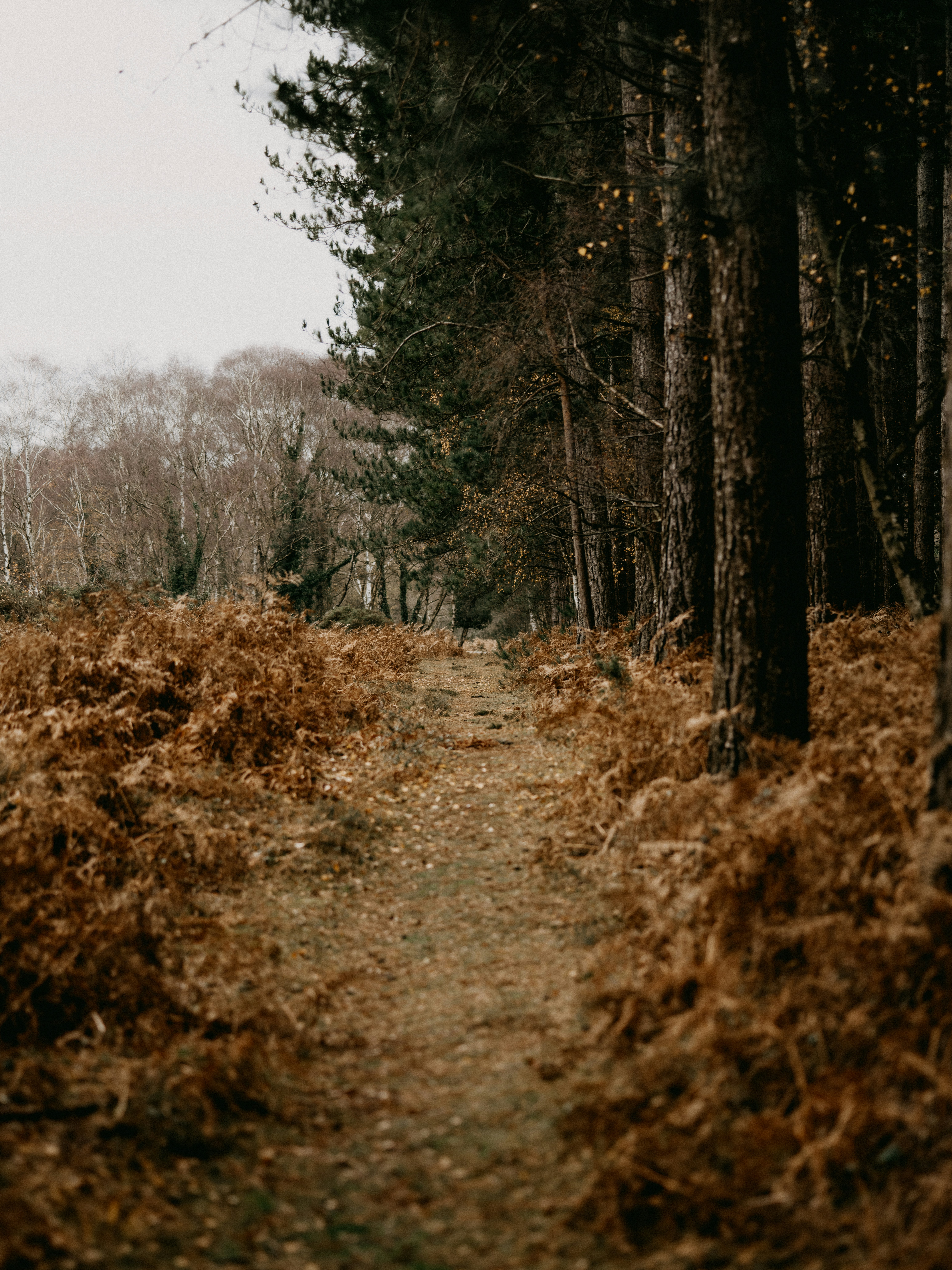 Photo by anniespratt