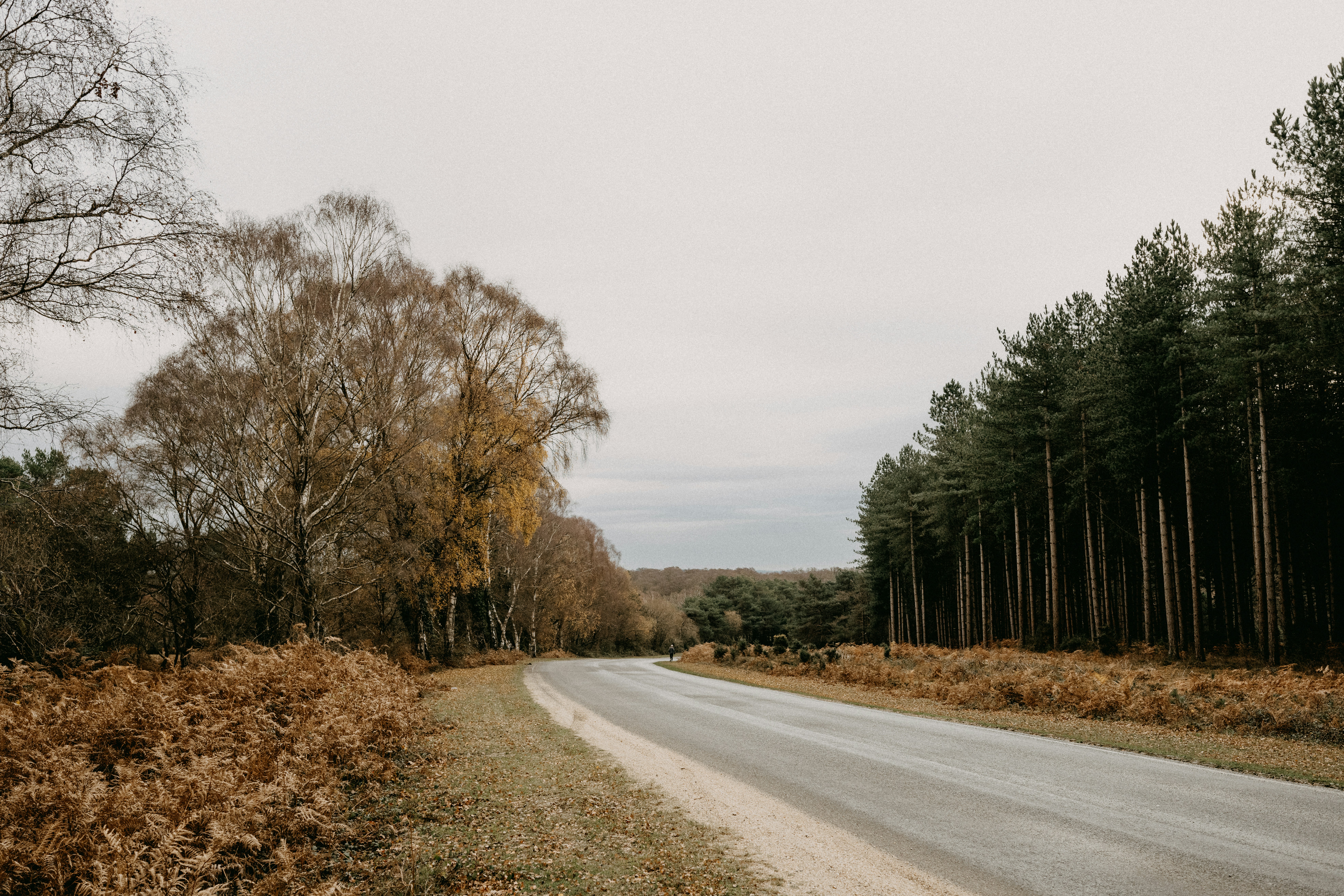 Photo by anniespratt