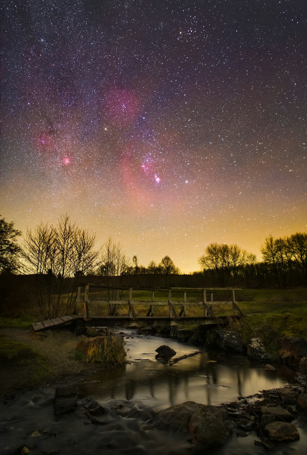 body of water between trees under starry night