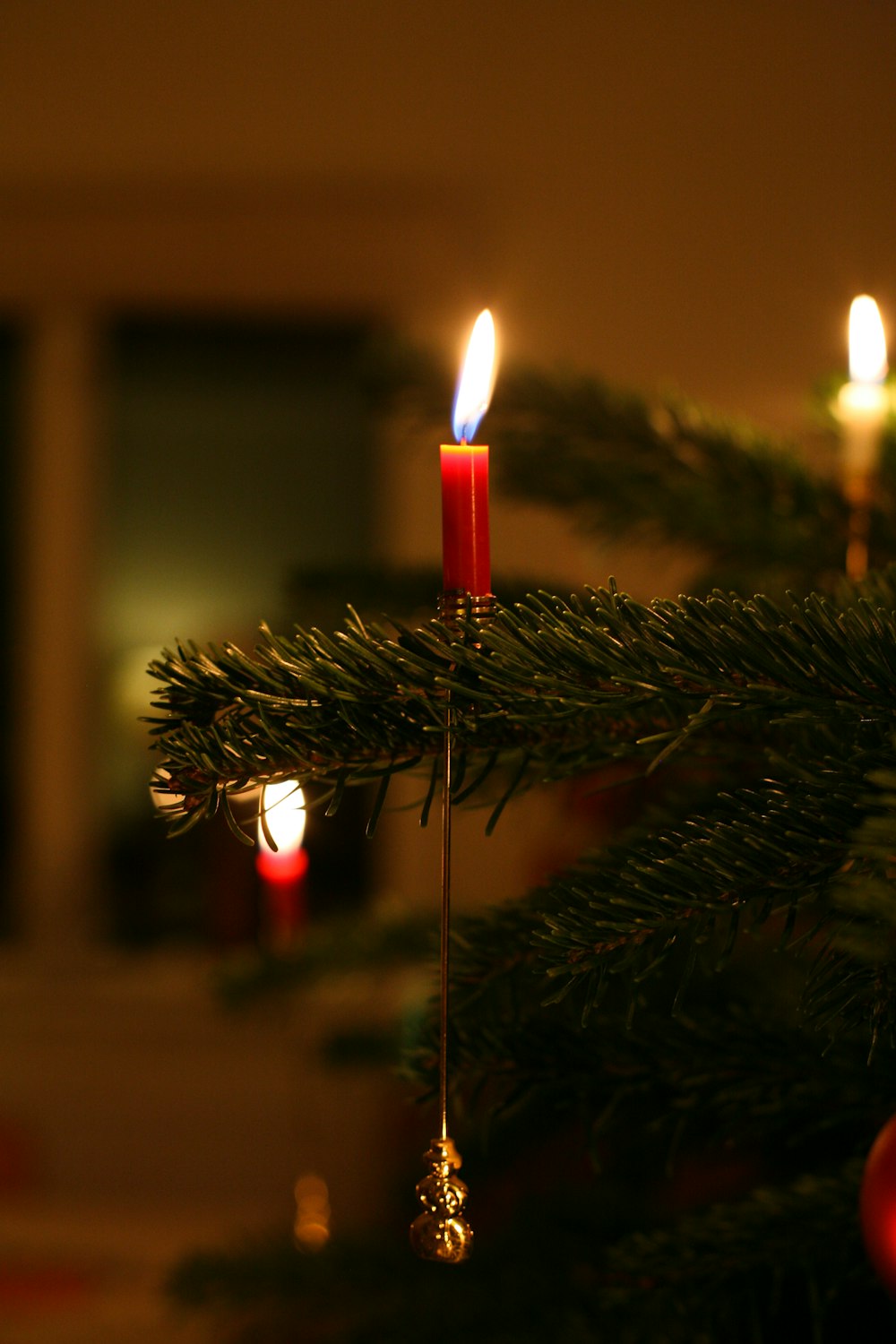 red candle on green pine tree