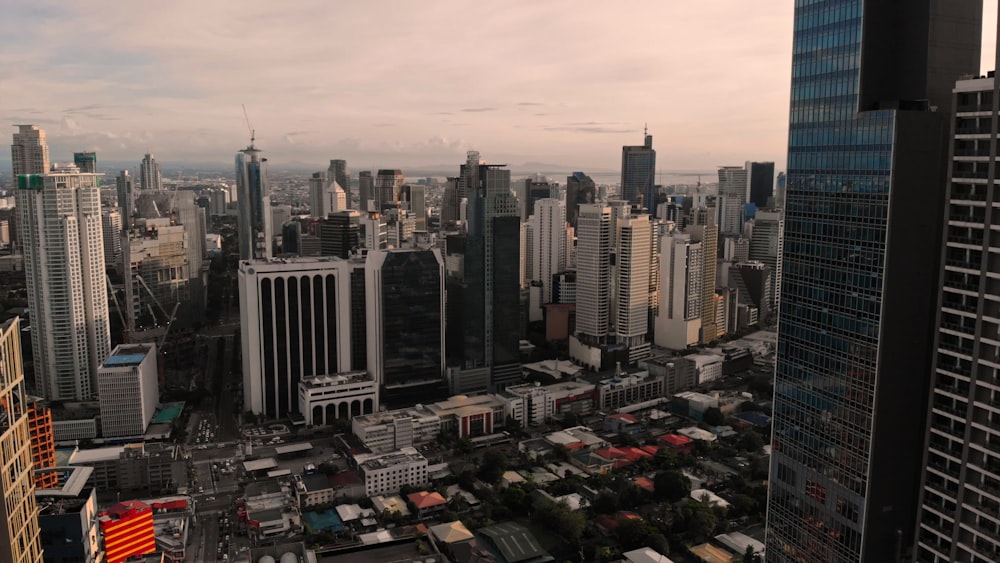 city skyline under white sky during daytime