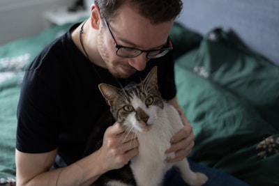 A tender moment of a volunteer gently holding a rescued cat in a cozy home.