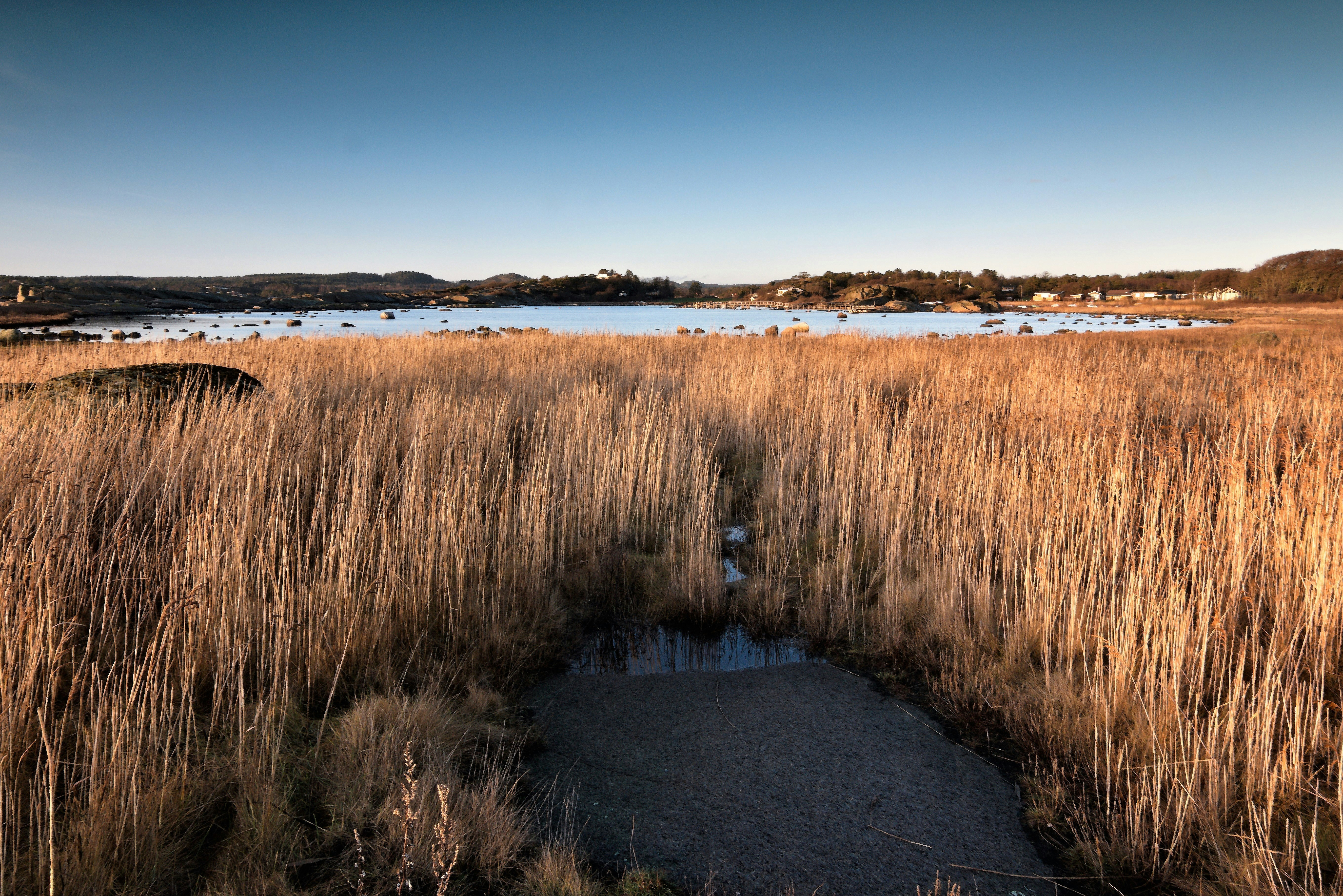 Photo by dariuszpi