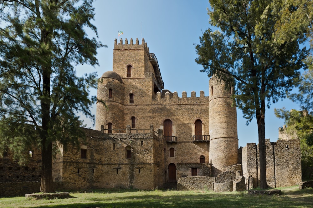 edificio in cemento marrone vicino agli alberi verdi durante il giorno