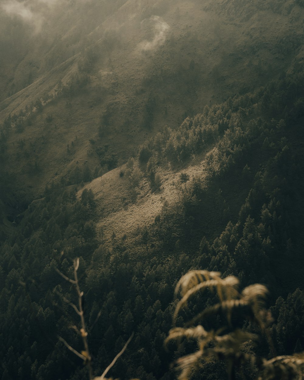 Montaña verde y marrón durante el día