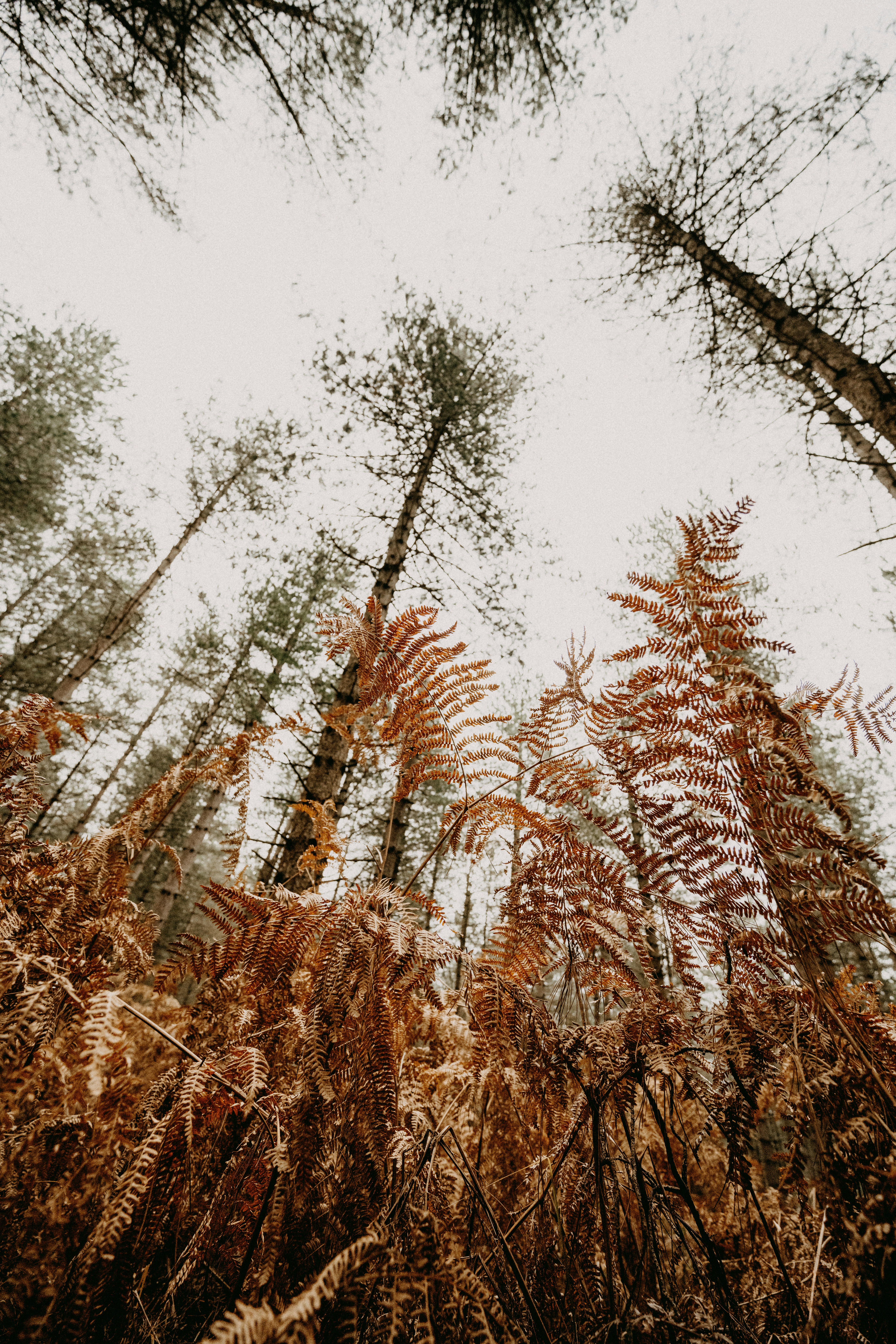 Photo by anniespratt