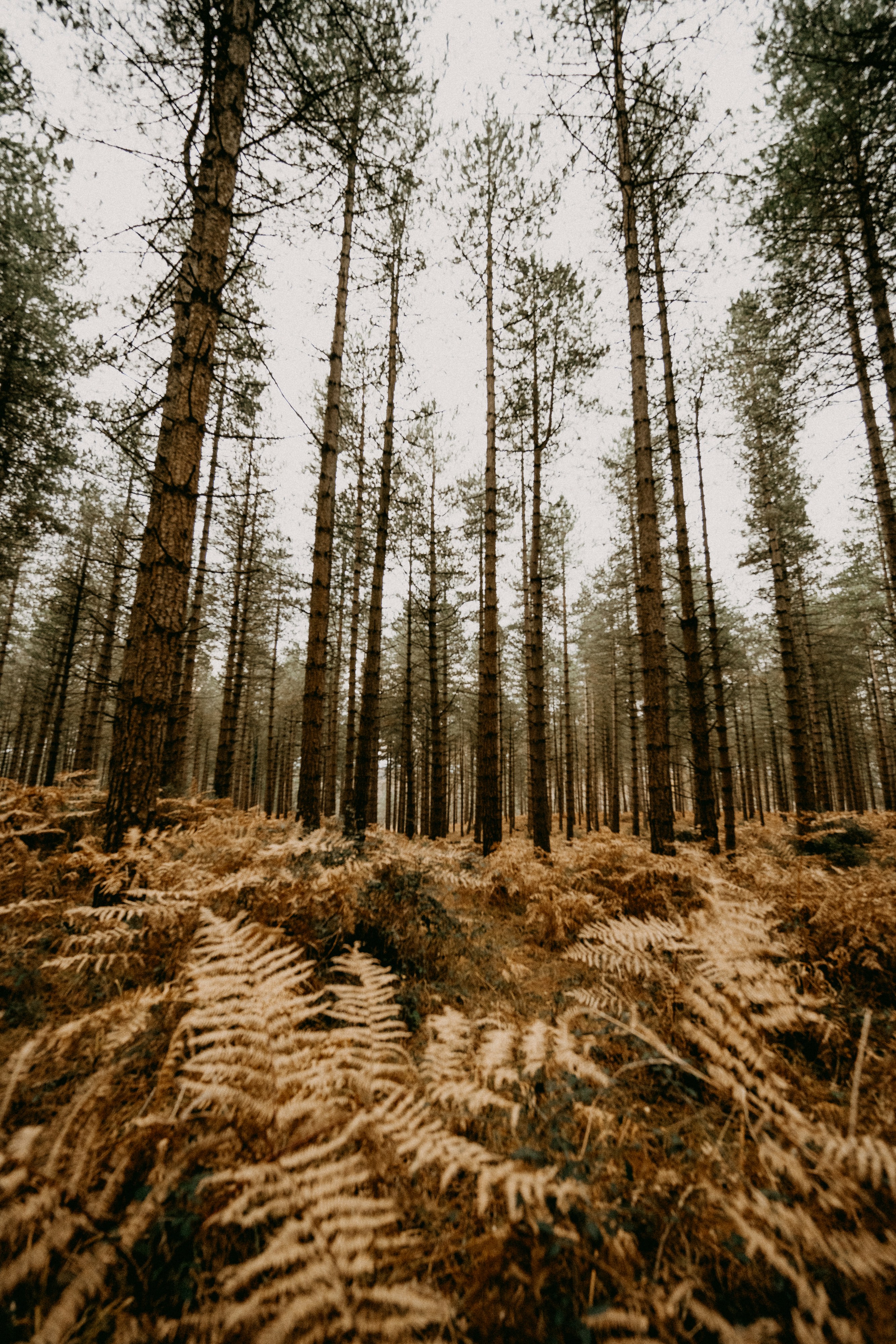 Photo by anniespratt