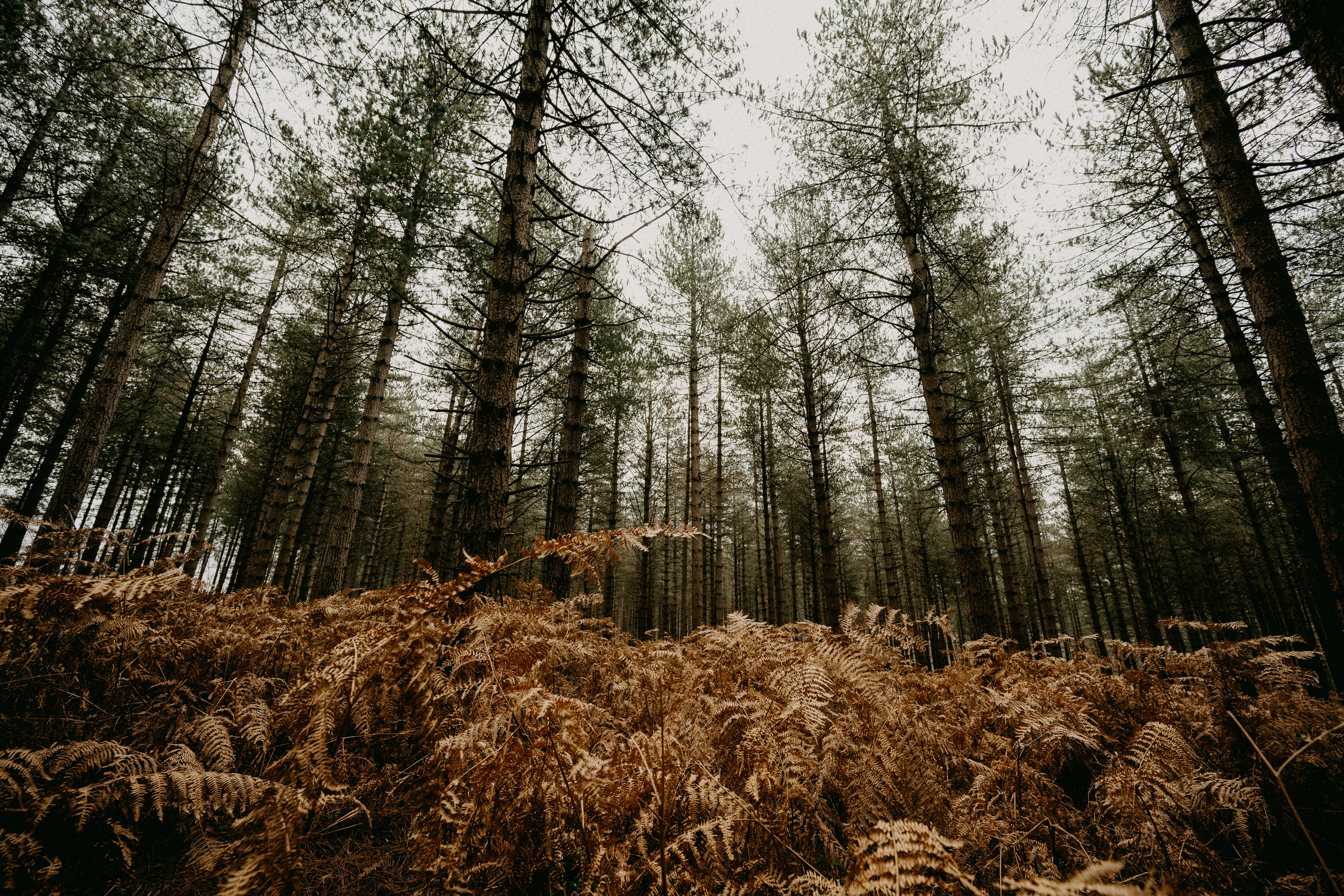 Photo by anniespratt