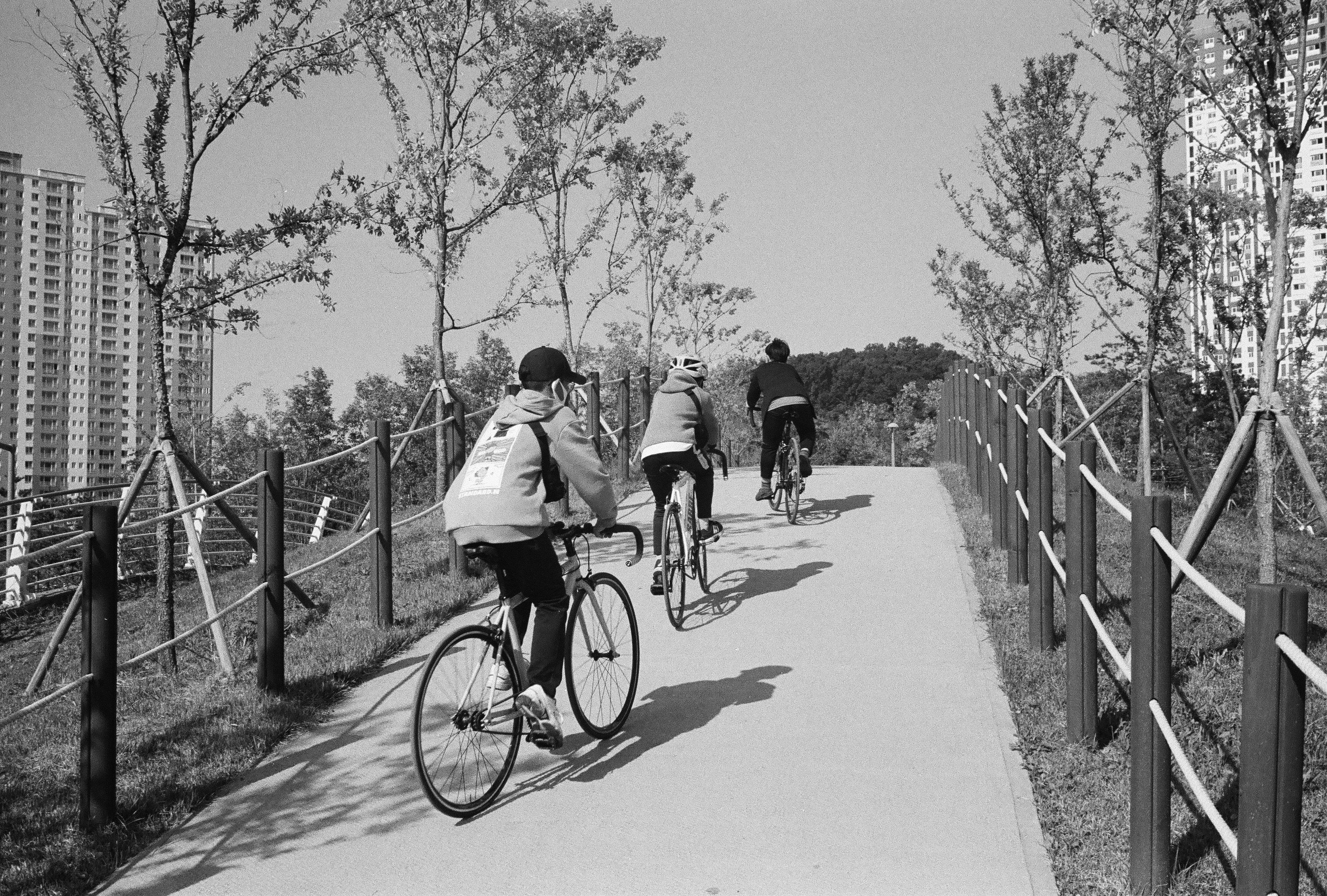 Photo by earlyevening