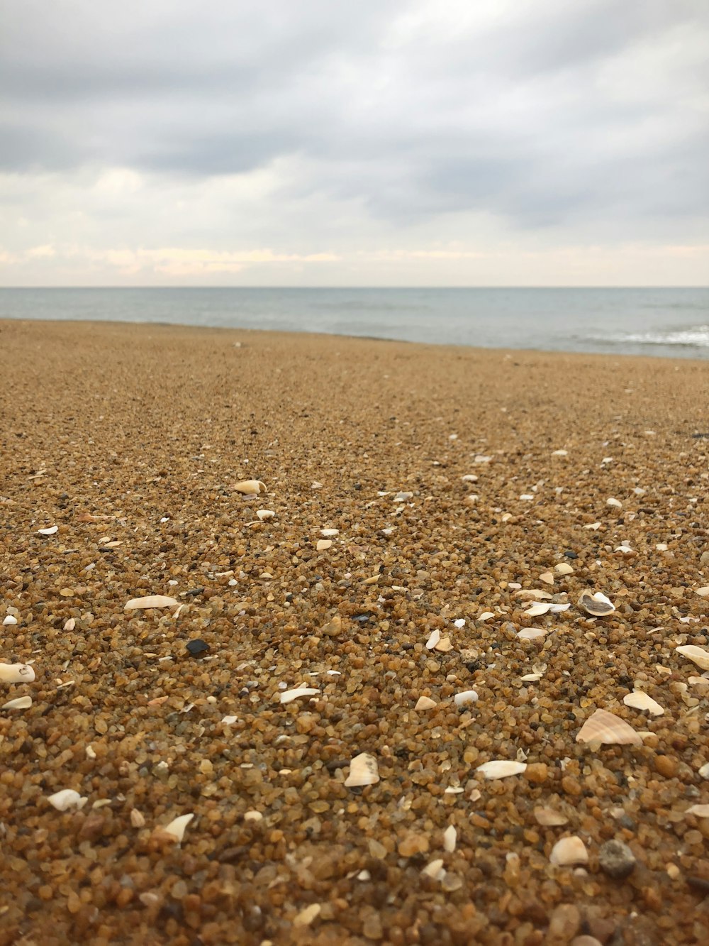 昼間の海岸の茶色と灰色の石