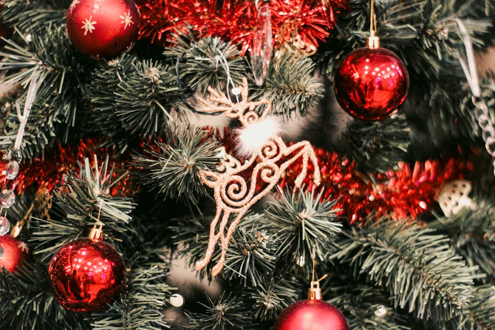 Boules rouges sur sapin de Noël vert