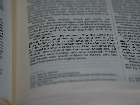 A close-up of an open King James Version New Testament with elegant leather binding and gold-edged pages.