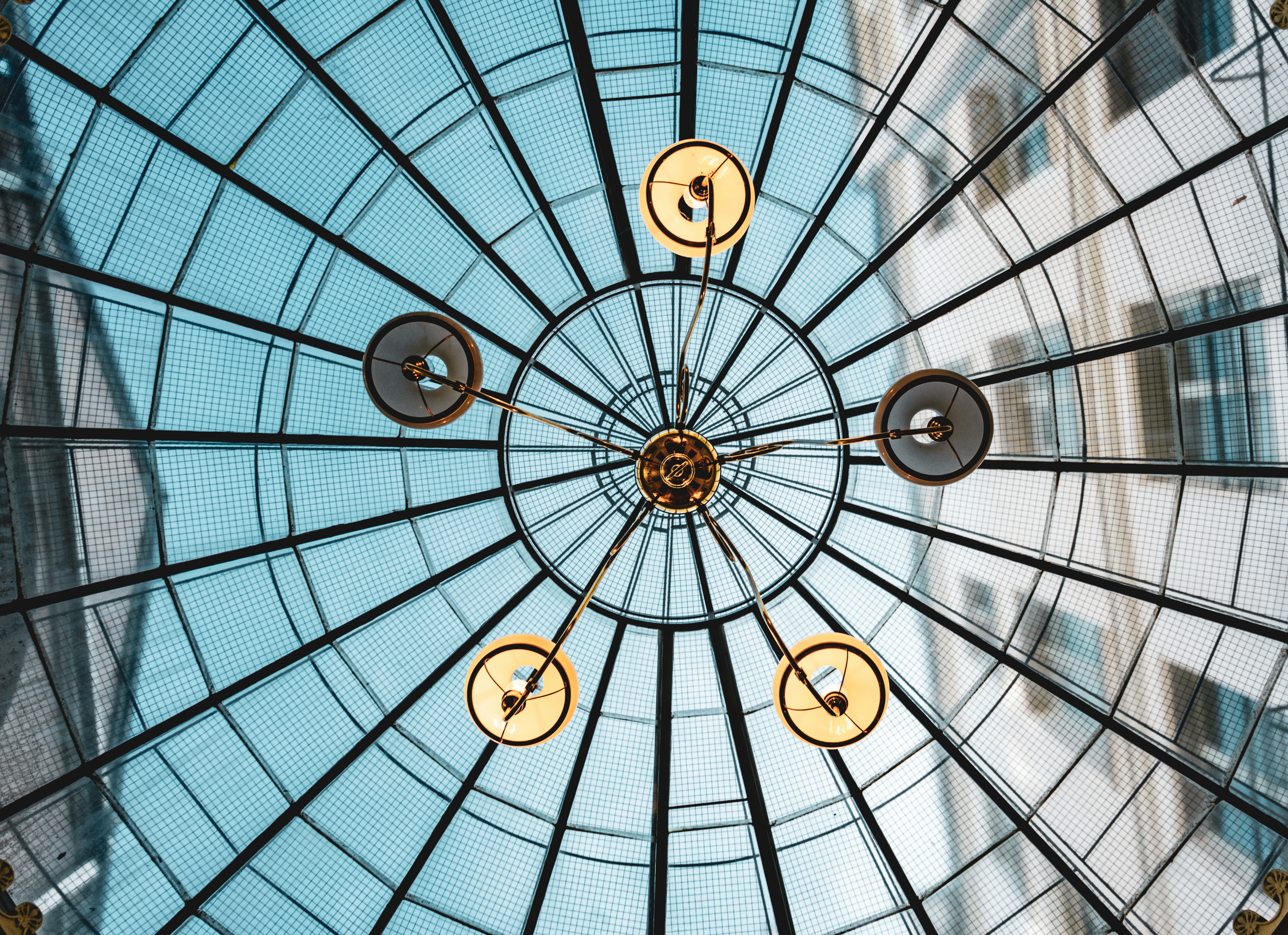 white and black floral dome ceiling