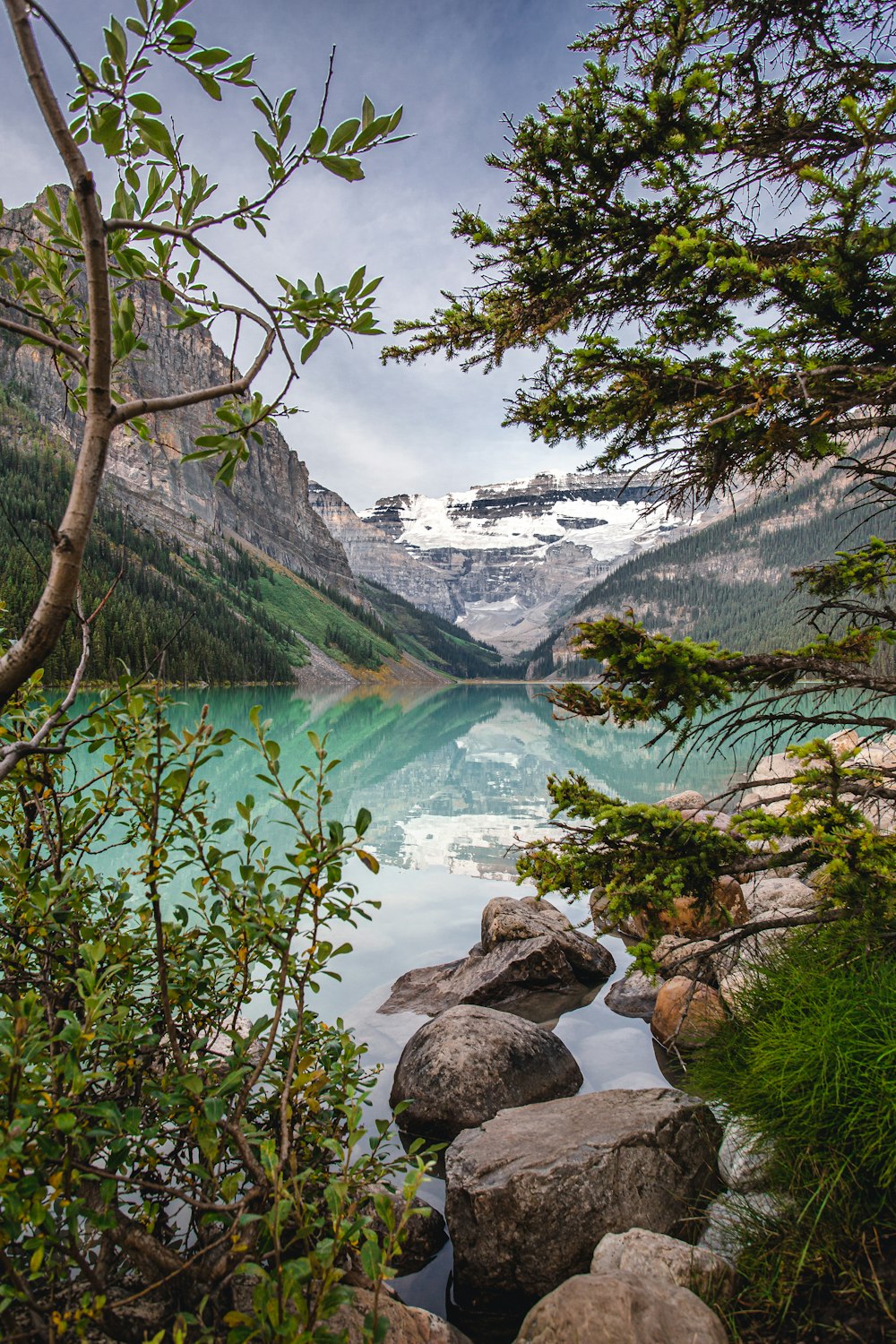 green trees near lake under white clouds and blue sky during daytime