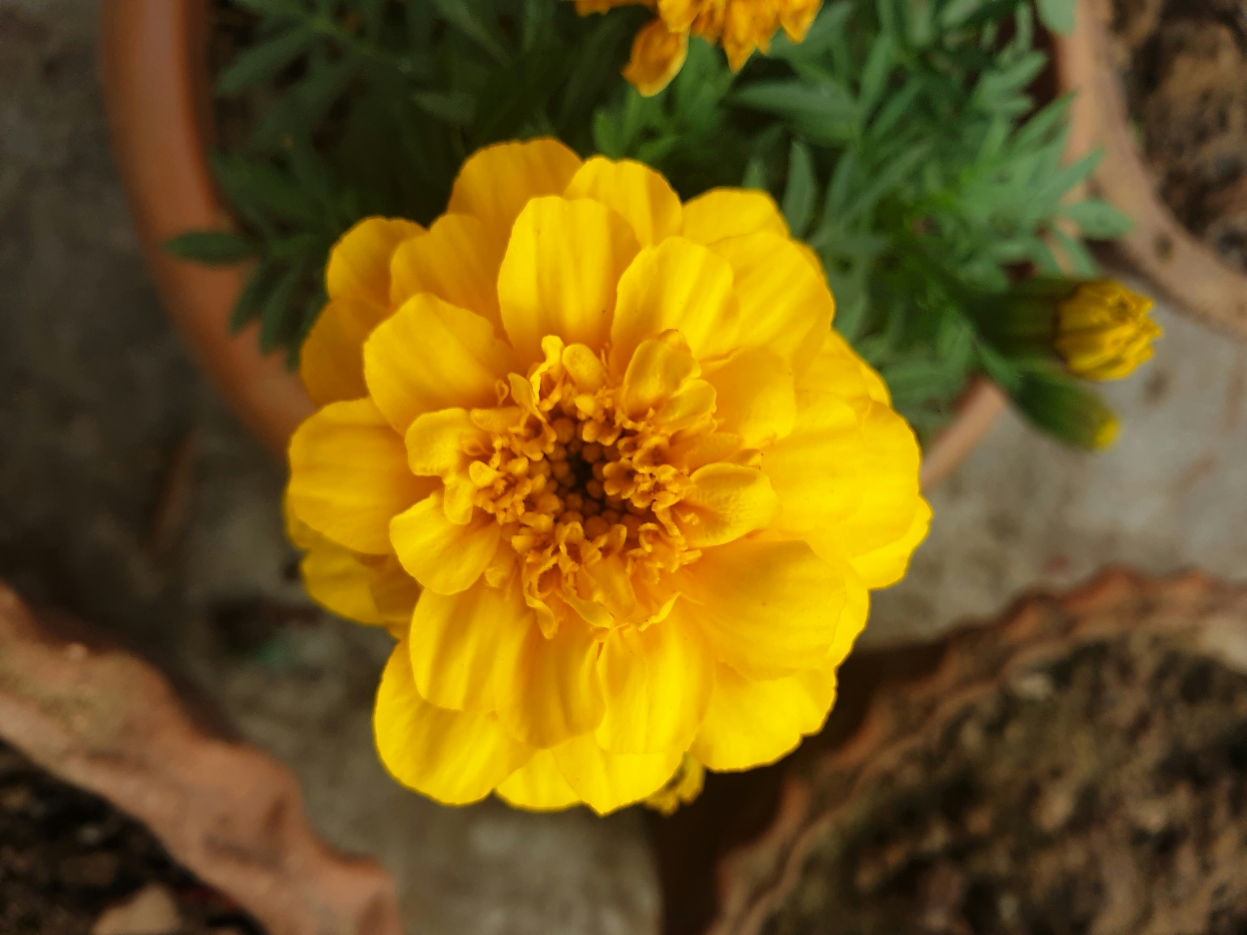 Photo by sushmi_gallery