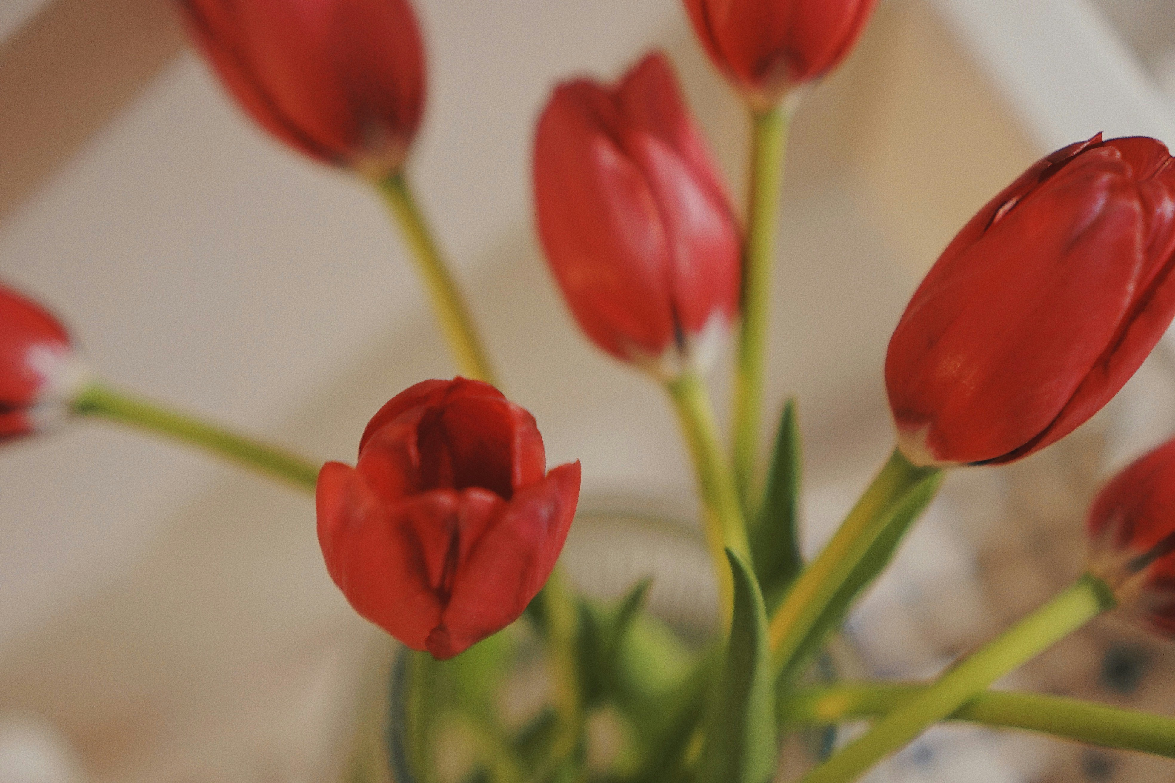 Photo by liaoweimeifang