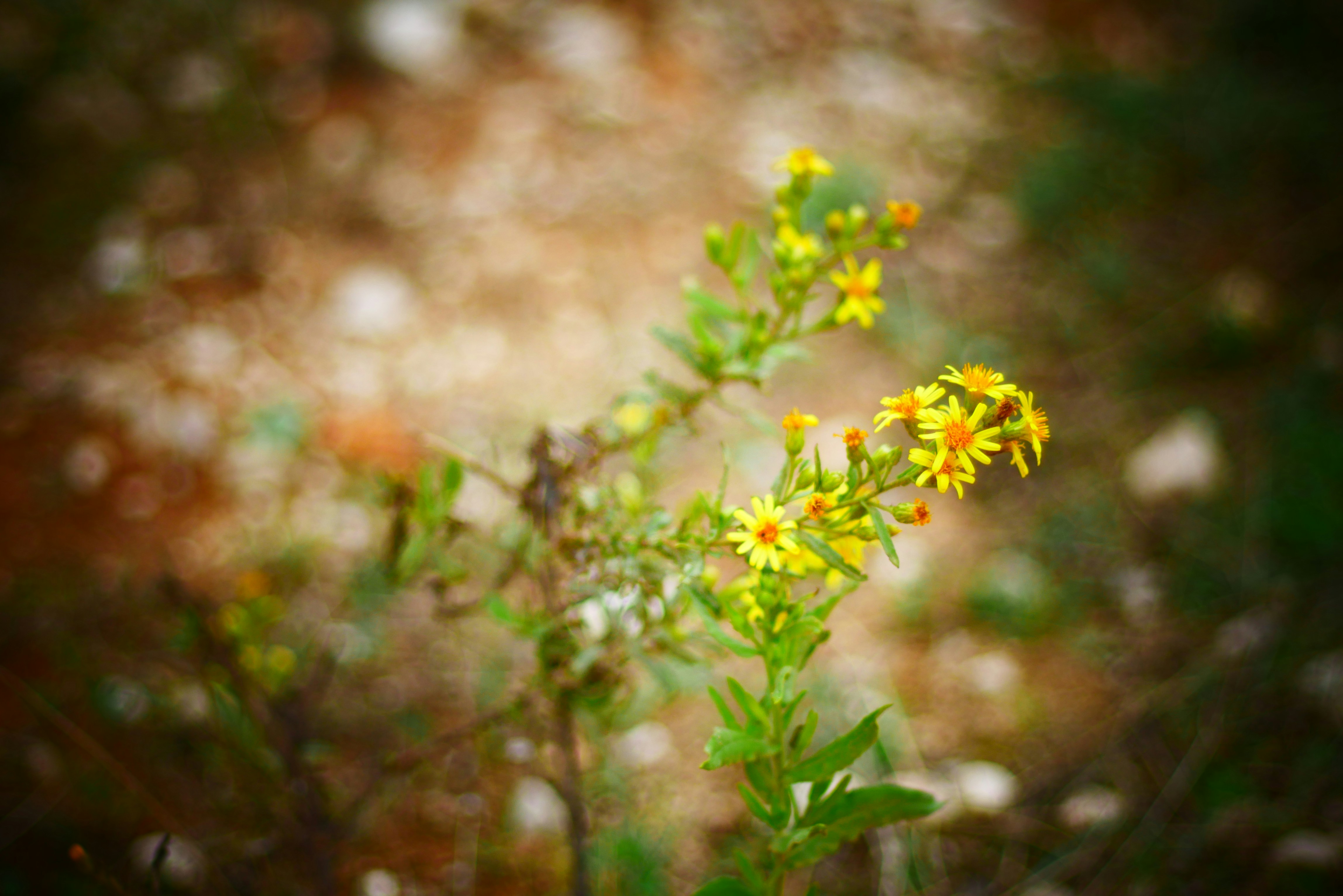 Photo by frederikmerten