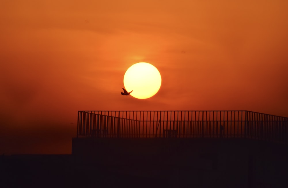 Silhouette d’homme debout sur le sol pendant le coucher du soleil