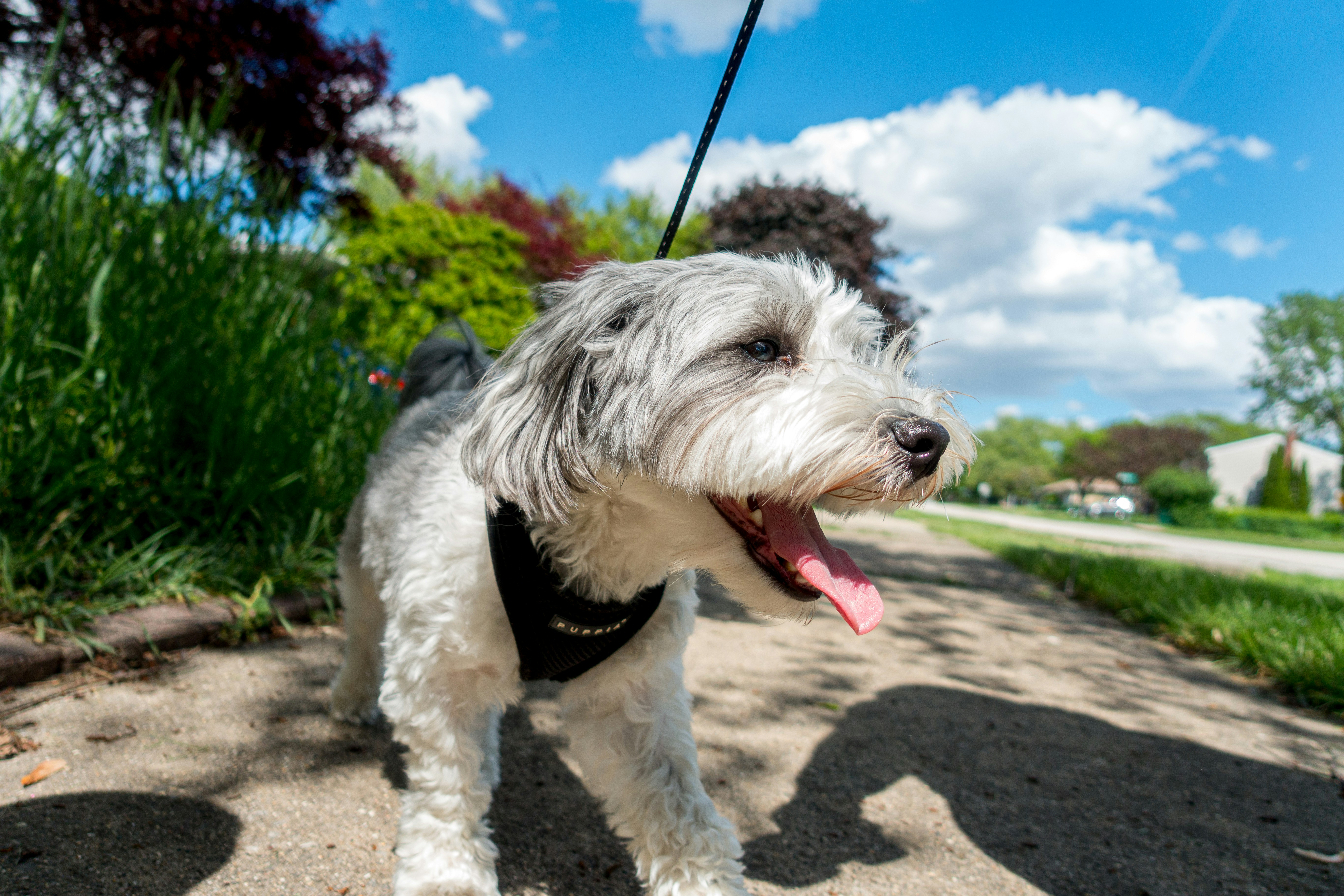 Photo by mattbirchler