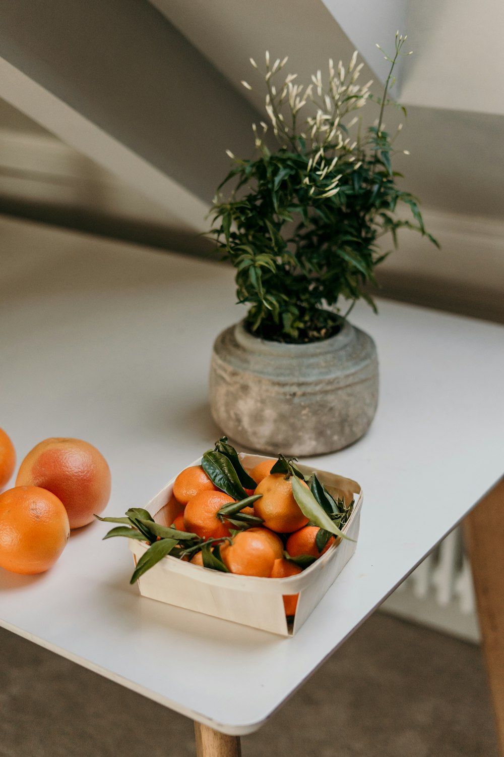 orange fruits on white ceramic bowl