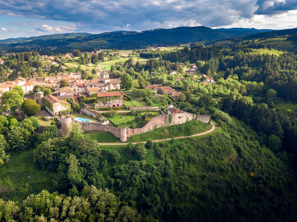 vista aérea de árvores verdes e casas durante o dia