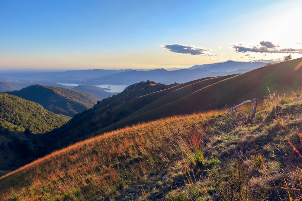 Campo de hierba marrón y verde bajo el cielo azul durante el día